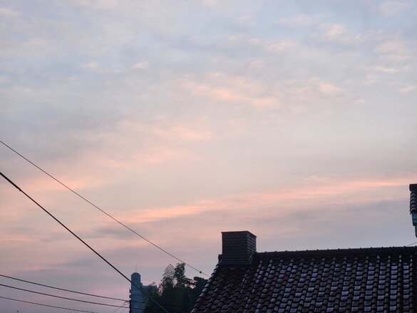 img_20250124-122117.jpg