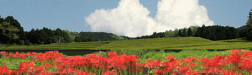 img_20251001-210538.gif