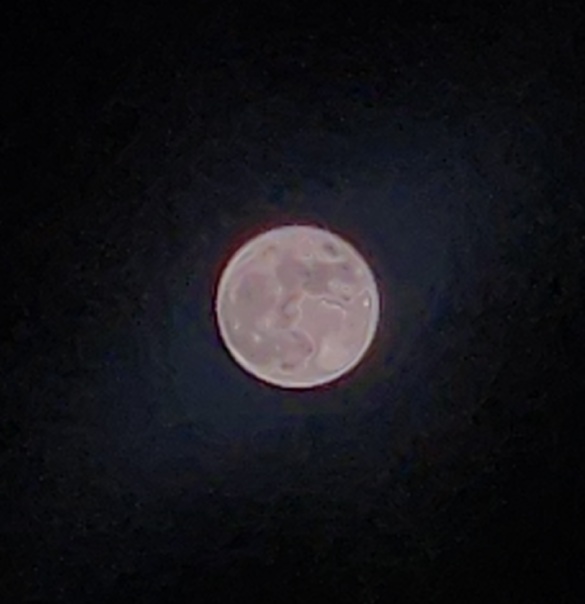 img_20260402-224807.jpg