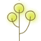 img_20130221-132040.gif