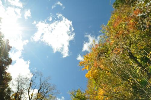 img_20141028-085829.jpg