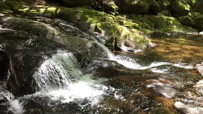 img_20160511-113250.jpg