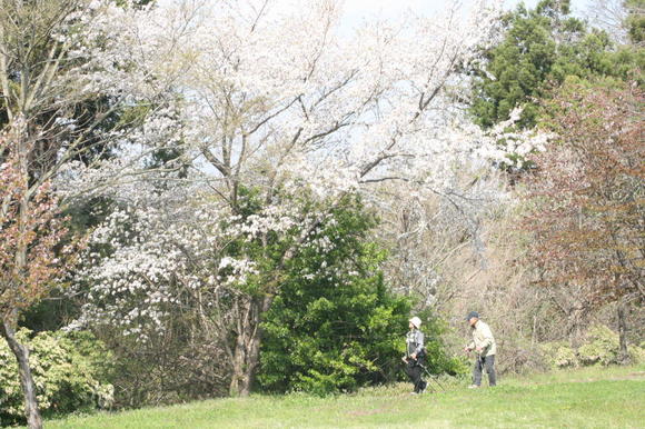 img_20150428-104241.jpg