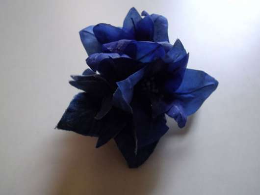 img_20120630-203758.jpg