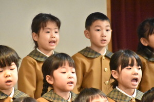 img_20240217-110157.jpg