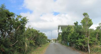 img_20150203-160920.jpg