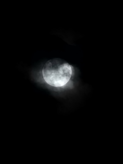 img_20240619-052452.jpg