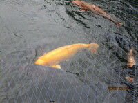 img_20230404-062844.jpg