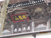 img_20230404-062950.jpg