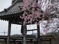 img_20240411-132124.jpg