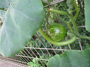 img_20240704-170825.jpg