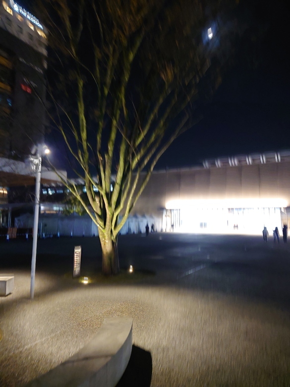 img_20240319-224747.jpg