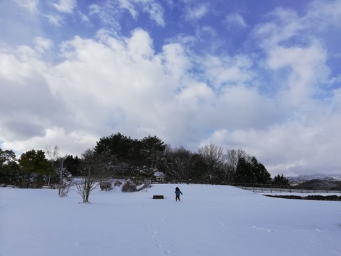 img_20201217-154330.jpg