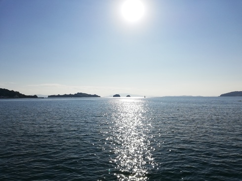 img_20201217-160718.jpg