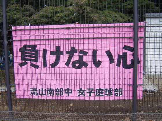 img_20131109-224717.jpg