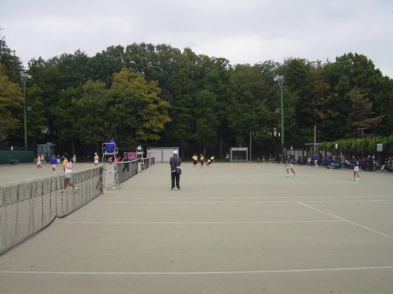 img_20131109-224831.jpg