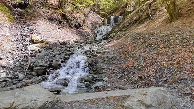 img_20260318-100853.jpg