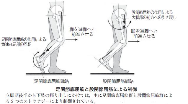 脳卒中片麻痺患者を上手く歩かせる方法 卒中八策 その八 歩行スピード