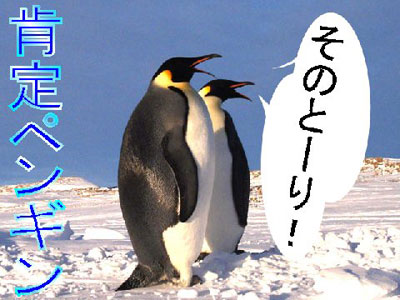 img_20121224-144945.jpg