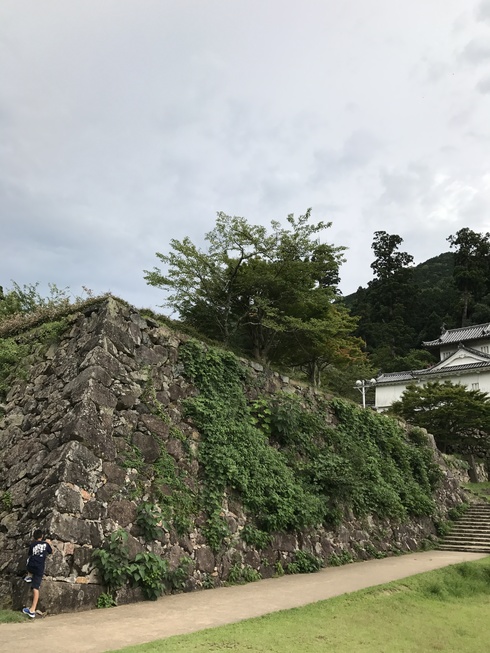 img_20170822-200835.jpg