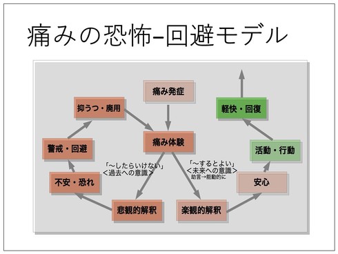 img_20180613-034043.jpg