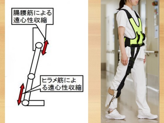 誠実】 脳卒中片麻痺患者の歩行トレーニングにおける 長下肢装具の 