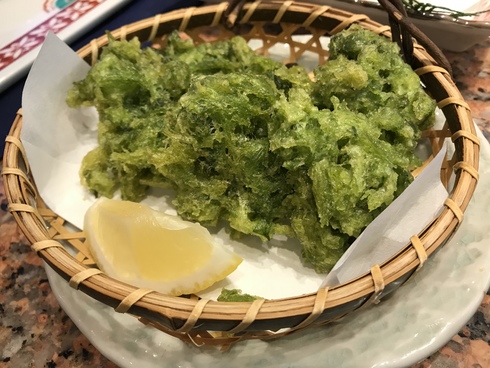 img_20190310-113810.jpg