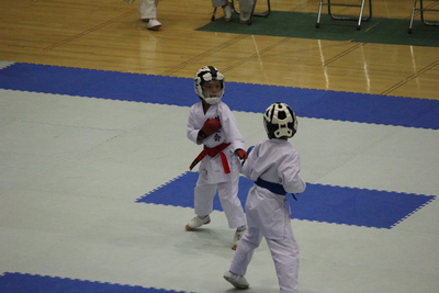 img_20221106-063301.jpg