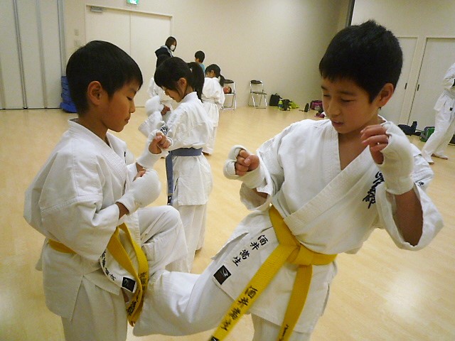 img_20190128-124047.jpg
