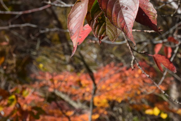 img_20191117-113746.jpg