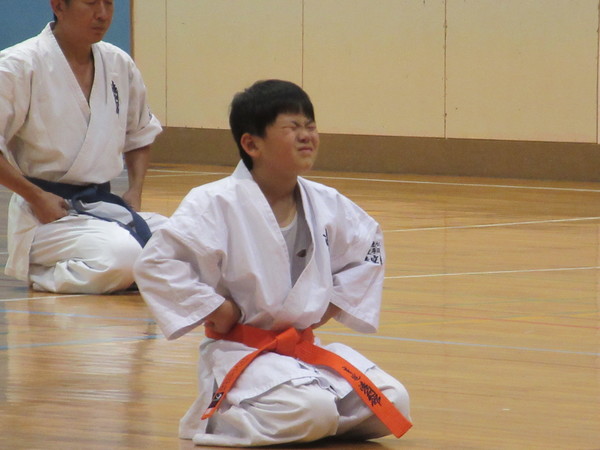img_20201021-104615.jpg