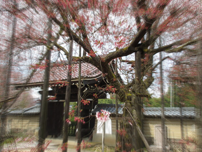 高尾連合会 空手道 清空館 風 の blog