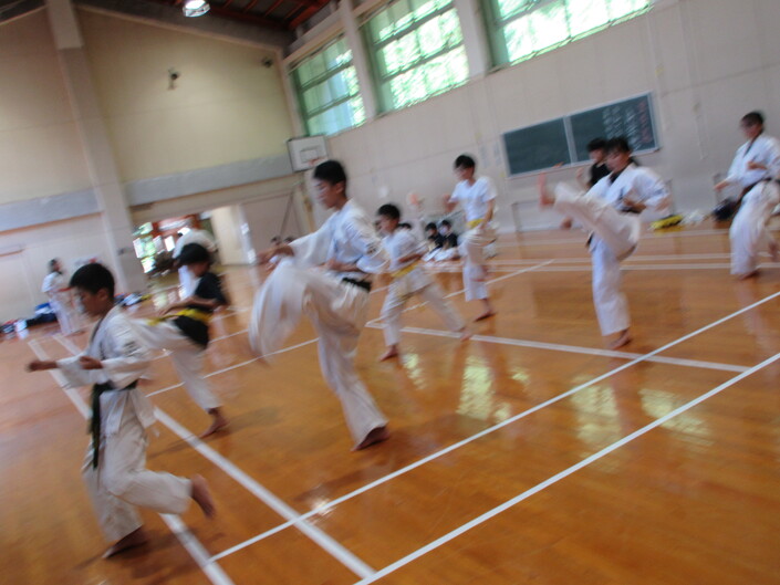 img_20240805-122248.jpg