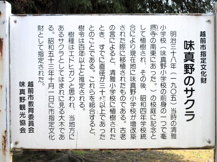 くうページ 高尾連合会 空手道 清空館 風 の blog