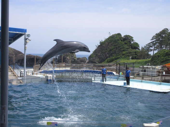 img_20250613-201234.jpg