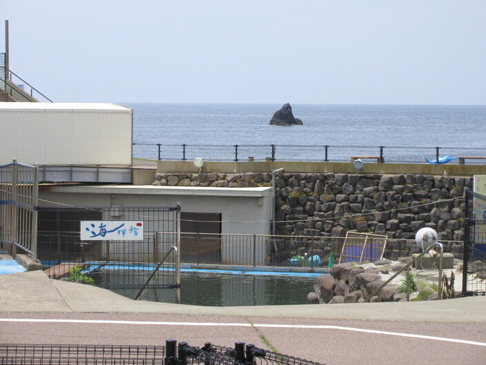 img_20250613-201936.jpg
