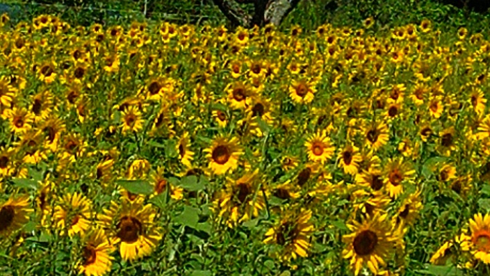 img_20260815-191056.jpg