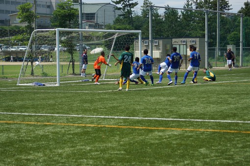 img_20140803-162541.jpg