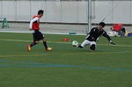 2013/11/23ニュータウン 2013/11/23ニュータウン