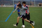 2013/11/23ニュータウン 2013/11/23ニュータウン