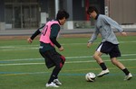 2013/11/23ニュータウン 2013/11/23ニュータウン