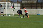 2013/11/23ニュータウン 2013/11/23ニュータウン