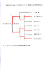 2014、O−50全国シニア県予選結果 2014、O−50全国シニア県予選結果
