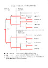 2013、O−40全国シニア県予選結果 2013、O−40全国シニア県予選結果