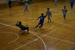 柿崎シニアフットサル 柿崎シニアフットサル