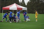 ベルナティオカップ ベルナティオカップ