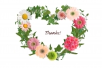 img_20160126-131927.png