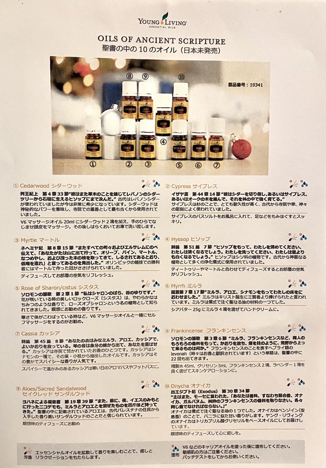 ヤングリヴィング 聖書の中の12のオイル 12本 希少 - エッセンシャルオイル