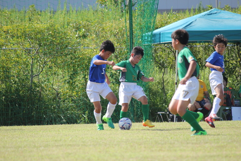 img_20190916-141224.jpg
