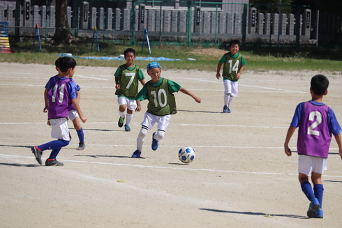 img_20190917-105440.jpg